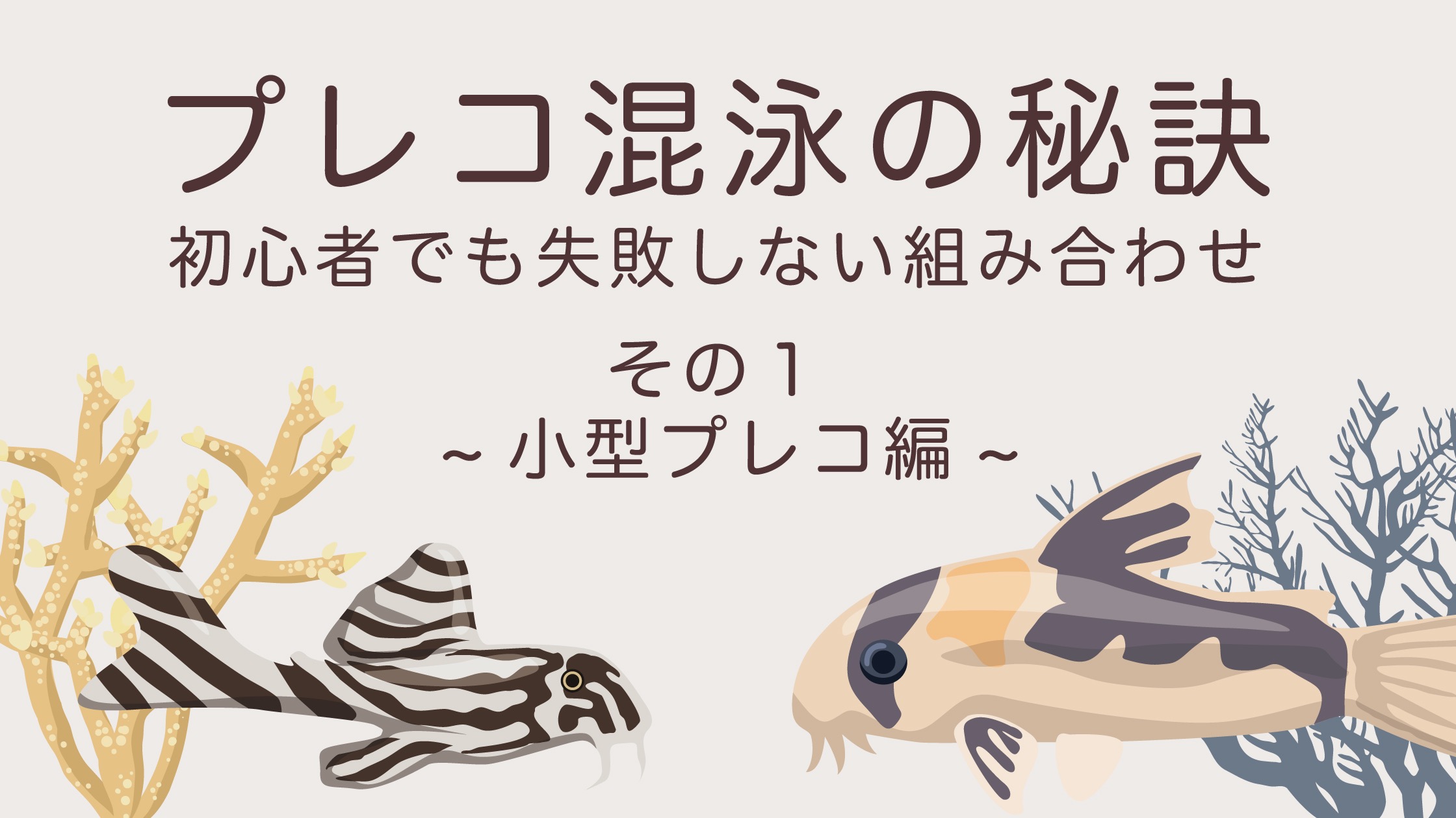 初心者向け｜中型・大型プレコの混泳で失敗しないコツと相性の良い魚種 