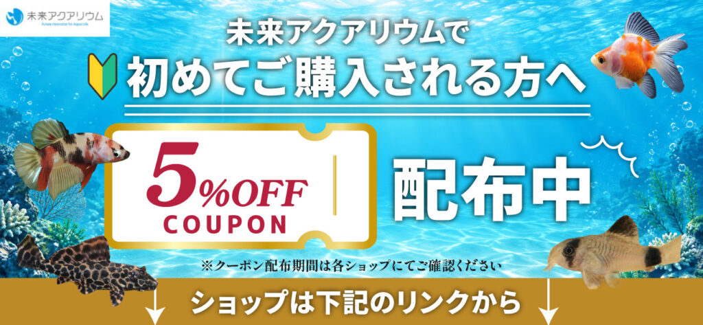 初めてご購入のお客様に5%OFFクーポン配布中｜未来アクアリウム